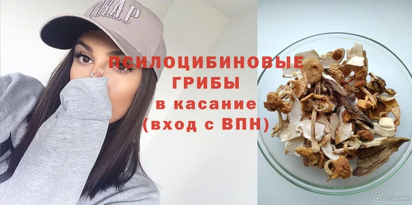 эйфоретик Белокуриха