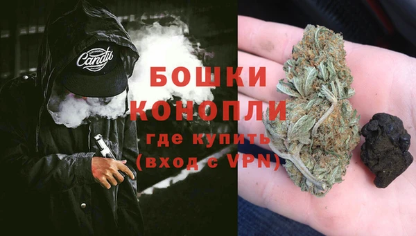 эйфоретик Белокуриха